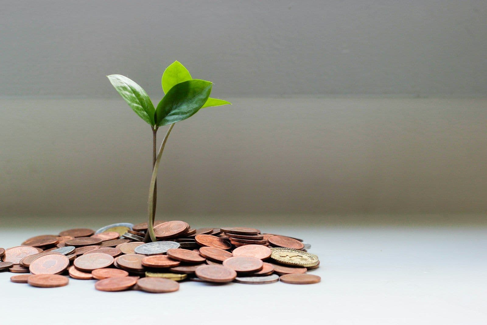 Budgeting the cost of custom software development in Jordan